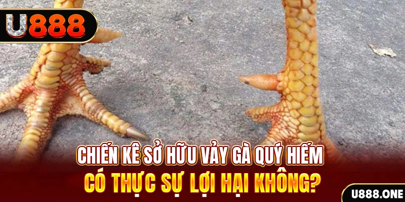 keonhacai tv sòng bạc LÀ GÌ